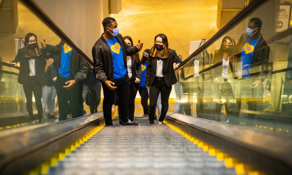 professional mobility escalators